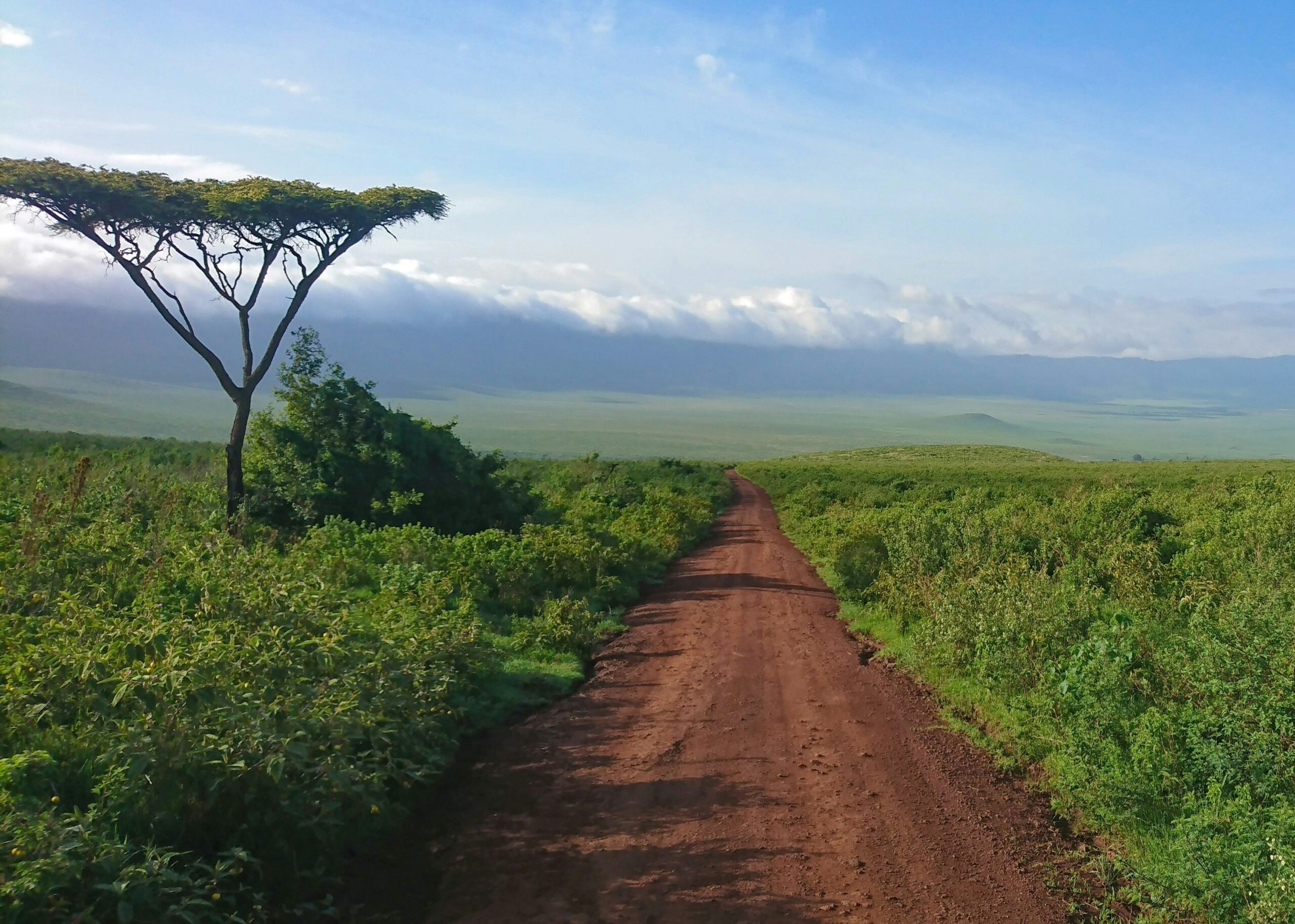 Ngorngoro crater