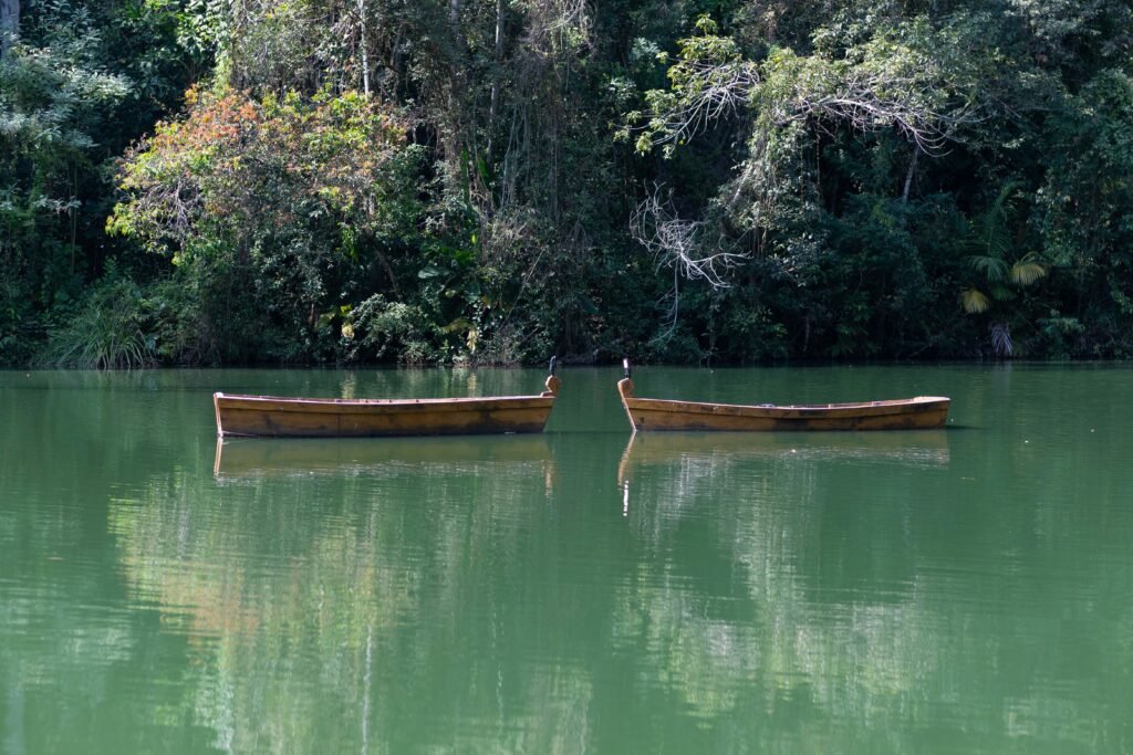 Arusha National Park: Your 7-Step Adventure Circuit