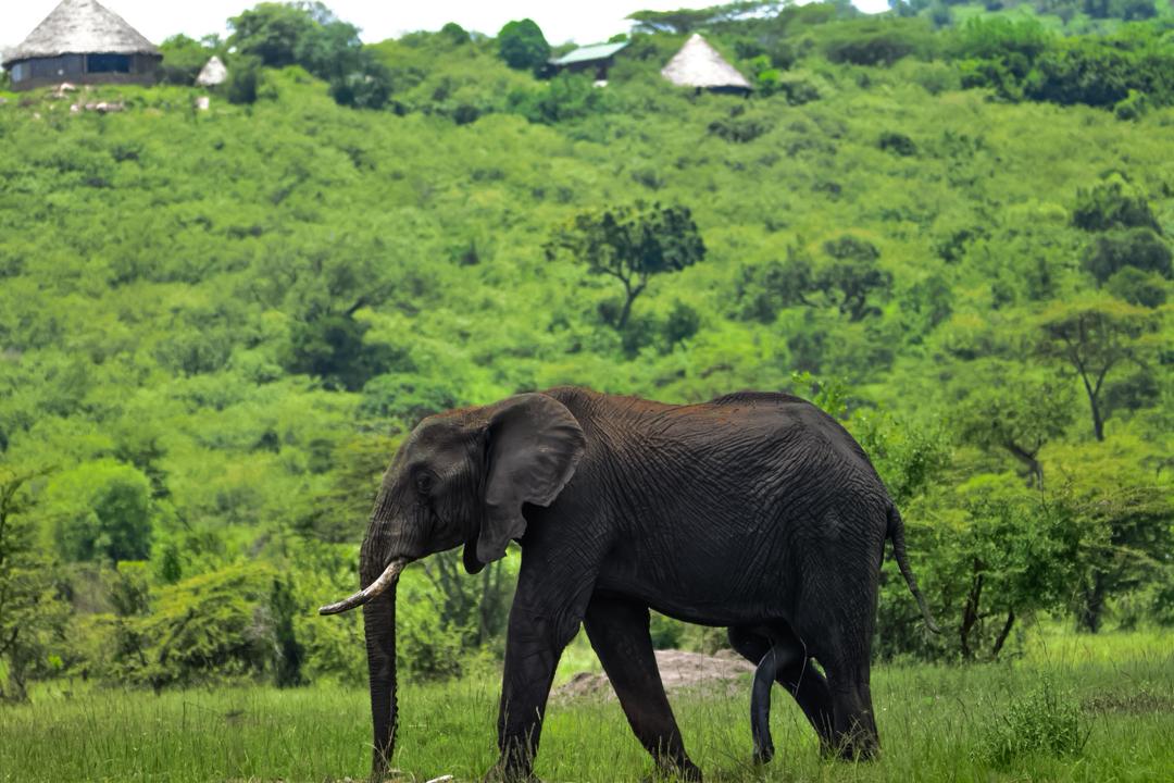 WhatsApp Image 2026 03 08 at 20.37.39