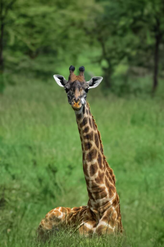 WhatsApp Image 2026 03 08 at 20.37.40