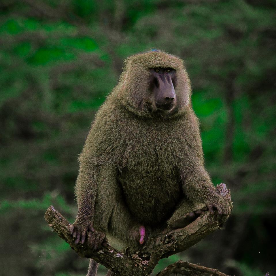 WhatsApp Image 2026 03 08 at 20.37.45