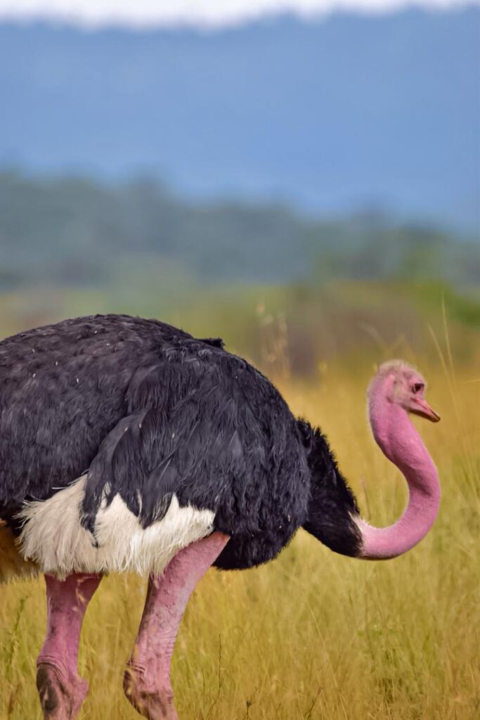 WhatsApp Image 2026 03 08 at 20.37.471