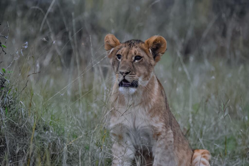 WhatsApp Image 2026 03 08 at 20.37.48