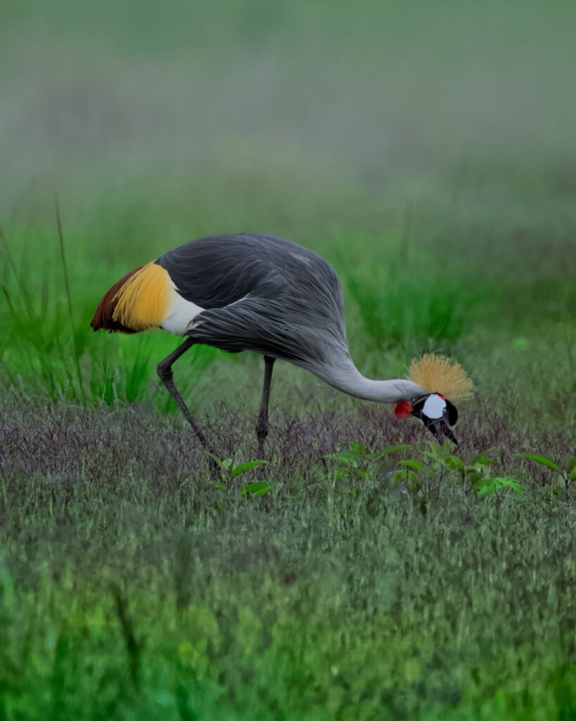 WhatsApp Image 2026 03 08 at 20.37.49