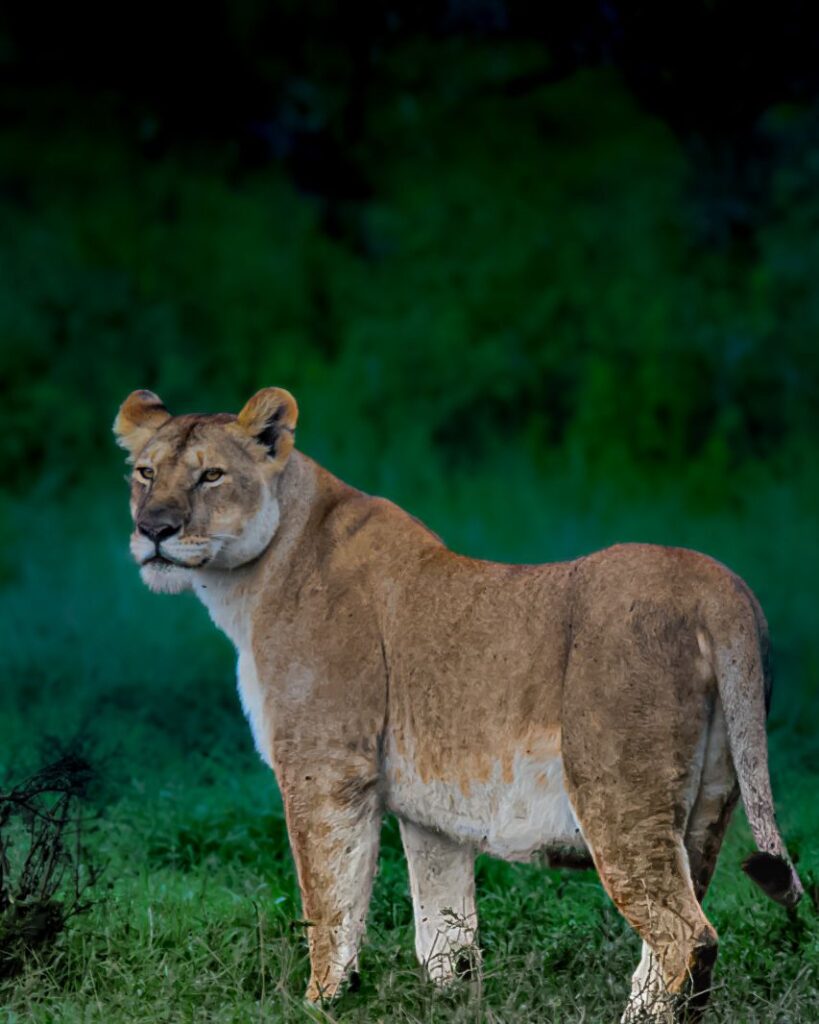 WhatsApp Image 2026 03 08 at 20.37.491