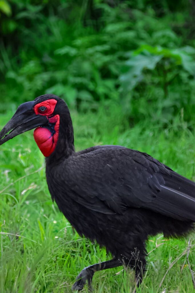 WhatsApp Image 2026 03 08 at 20.37.50