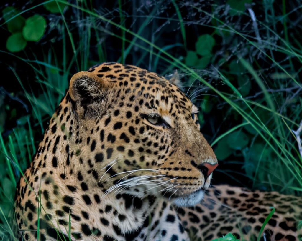 WhatsApp Image 2026 03 11 at 21.35.02 1