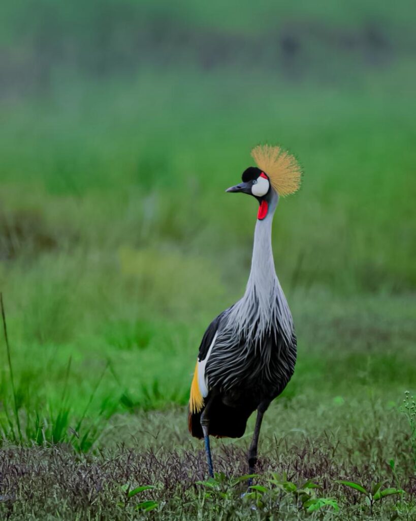 WhatsApp Image 2026 03 11 at 21.35.02