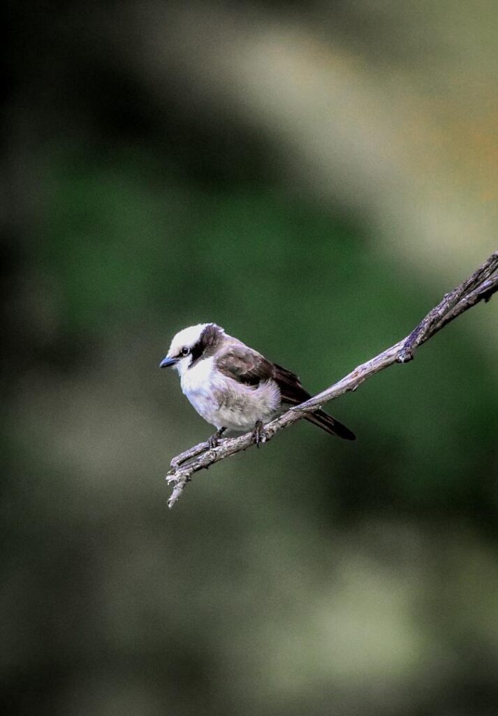 WhatsApp Image 2026 03 11 at 21.35.03 2