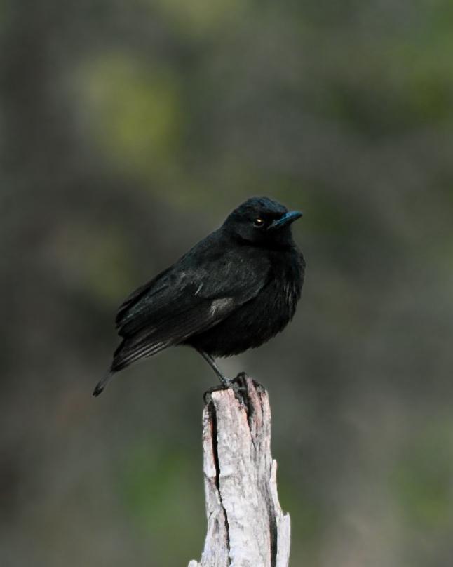 WhatsApp Image 2026 03 11 at 21.35.03 3