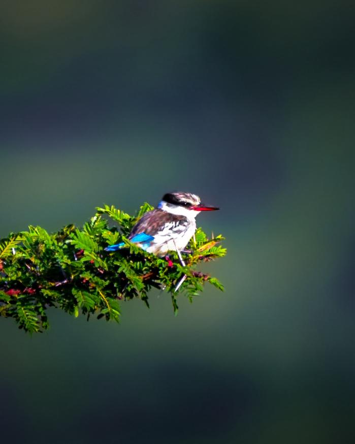 WhatsApp Image 2026 03 11 at 21.35.03