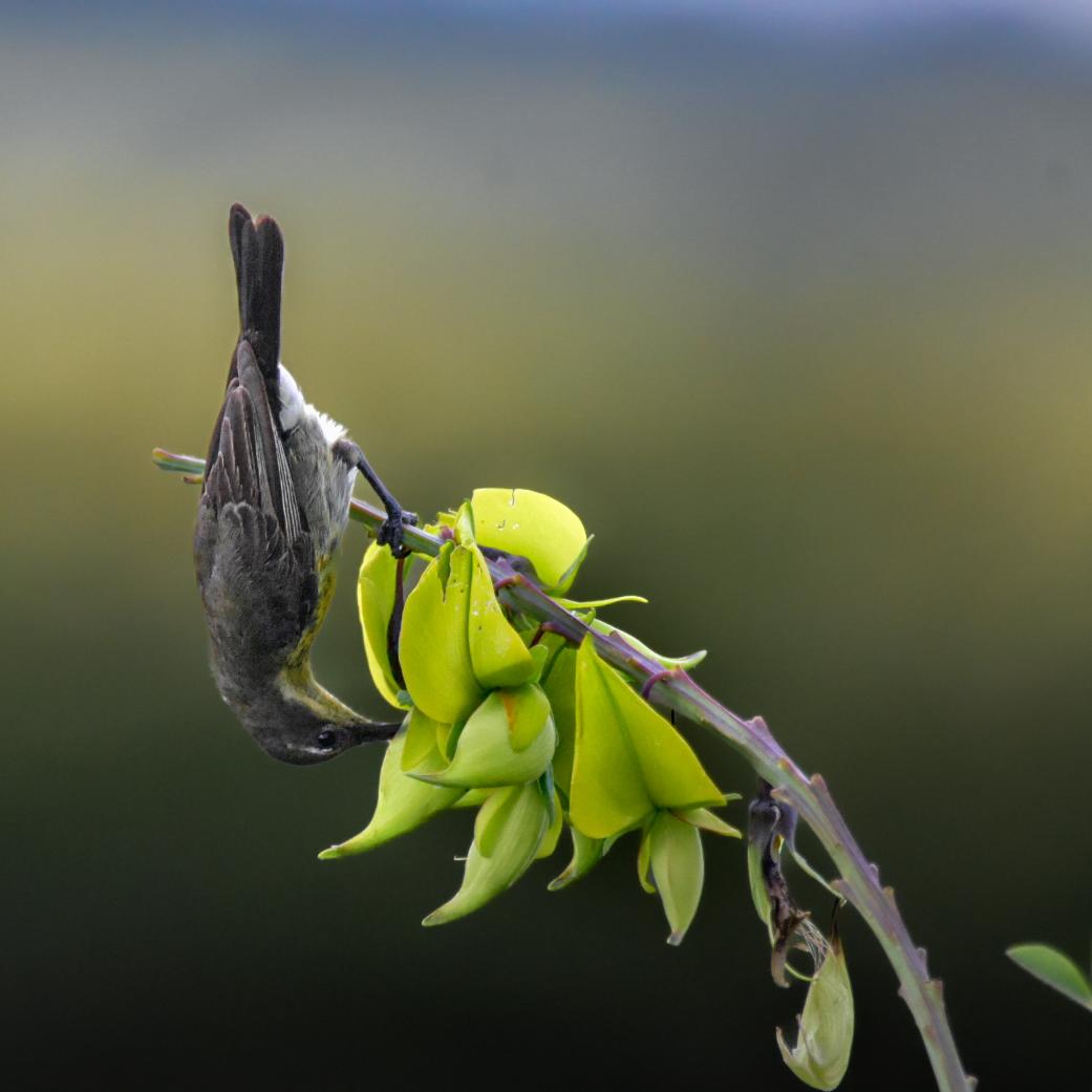 WhatsApp Image 2026 03 11 at 21.35.04 2