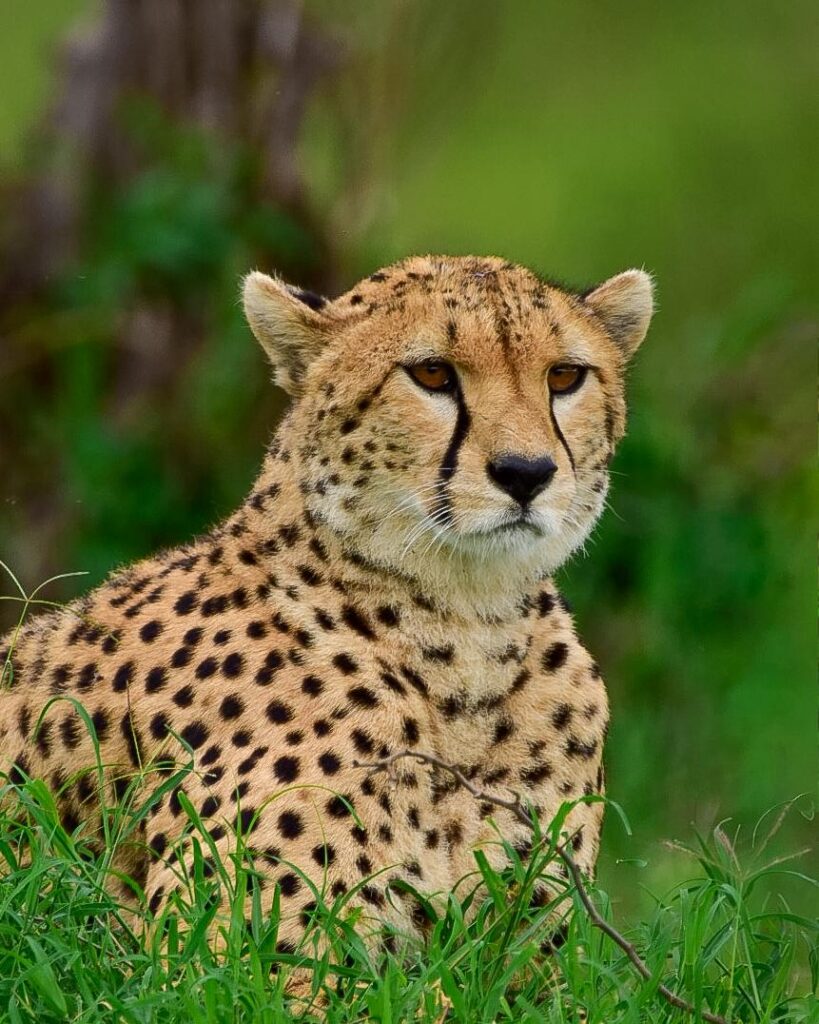 WhatsApp Image 2026 03 11 at 21.35.06